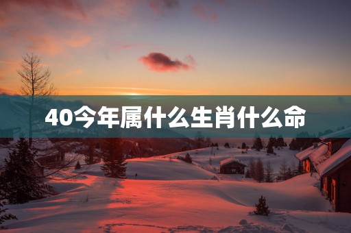 40今年属什么生肖什么命