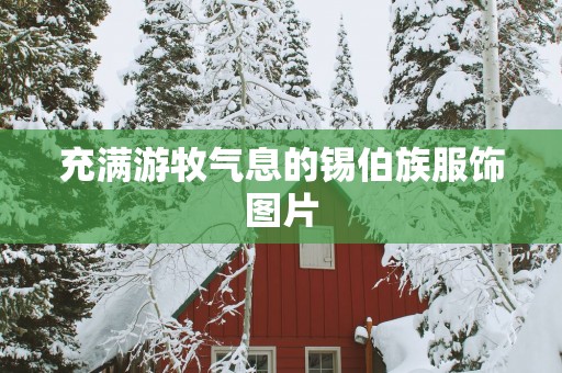 充满游牧气息的锡伯族服饰图片