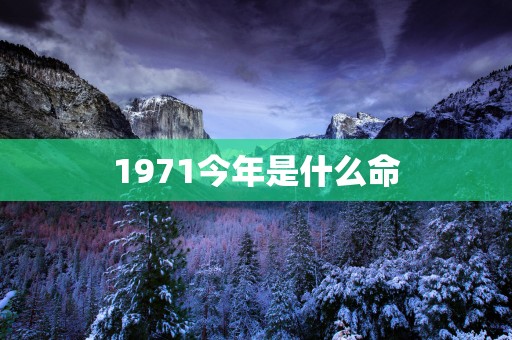 1971今年是什么命