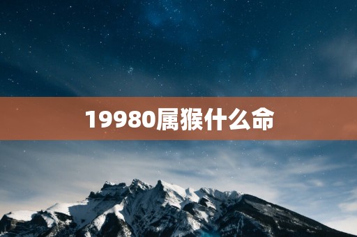 19980属猴什么命
