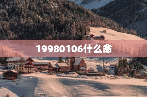 19980106什么命