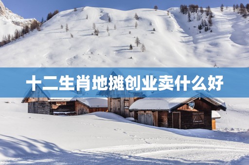十二生肖地摊创业卖什么好