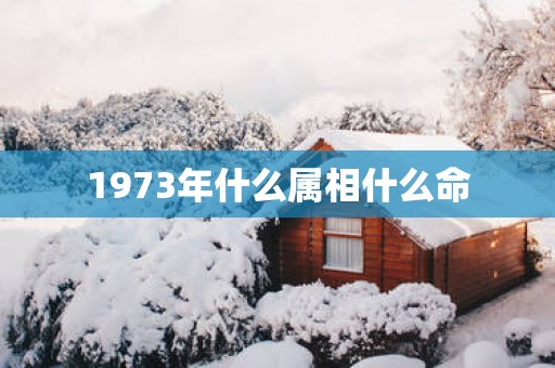 1973年什么属相什么命