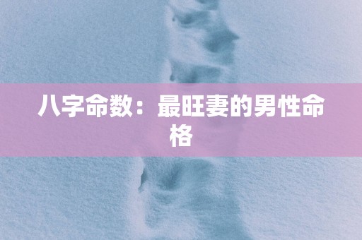 八字命数：最旺妻的男性命格
