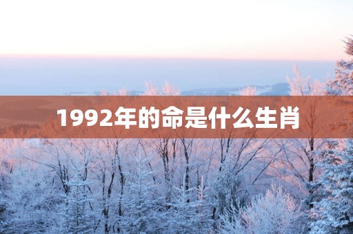 1992年的命是什么生肖