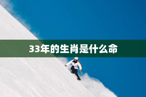 33年的生肖是什么命