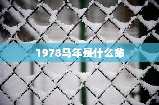 1978马年是什么命