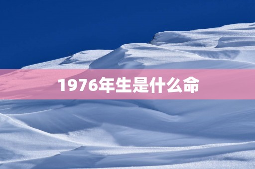 1976年生是什么命