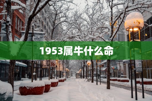 1953属牛什么命