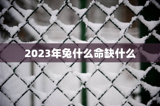 2025年兔什么命缺什么