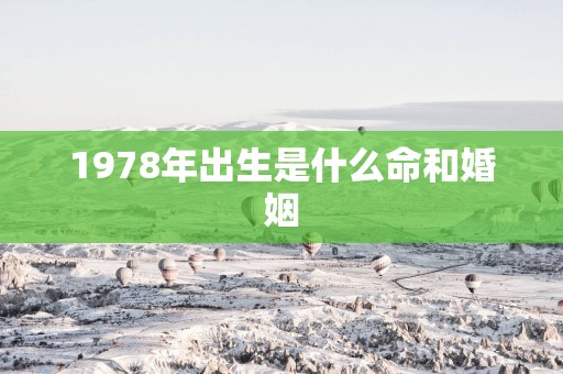 1978年出生是什么命和婚姻