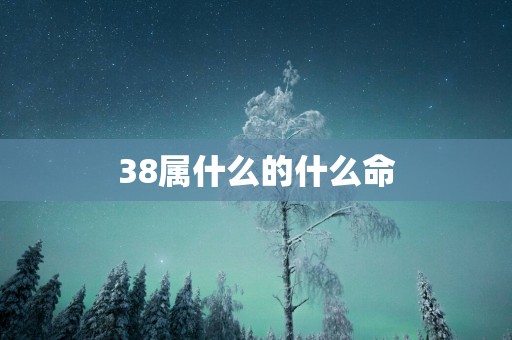 38属什么的什么命