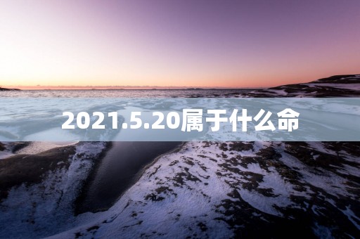 2025.5.20属于什么命