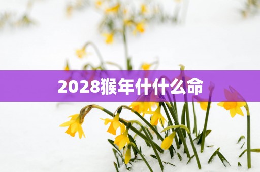 2028猴年什什么命