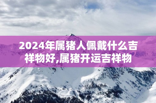 2025年属猪人佩戴什么吉祥物好,属猪开运吉祥物