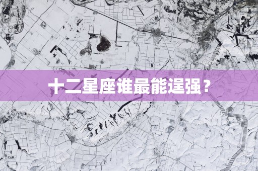 十二星座谁最能逞强？