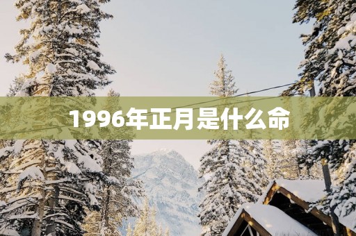 1996年正月是什么命