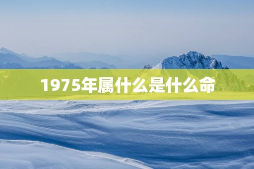 1975年属什么是什么命