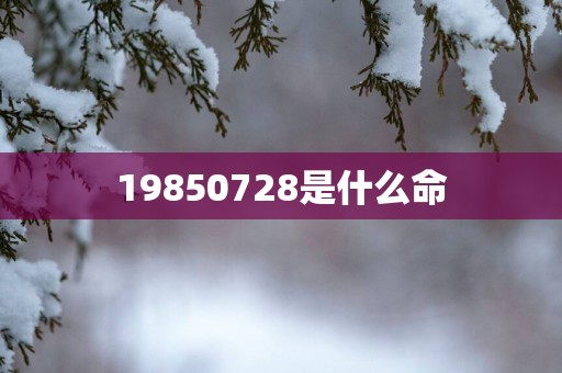 19850728是什么命