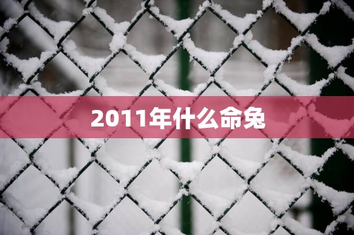 2011年什么命兔