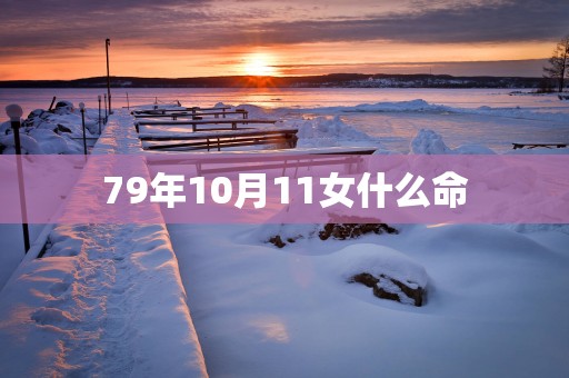79年10月11女什么命