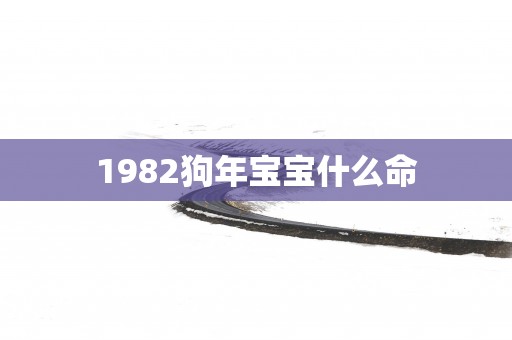 1982狗年宝宝什么命