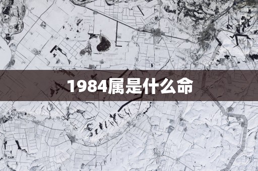 1984属是什么命