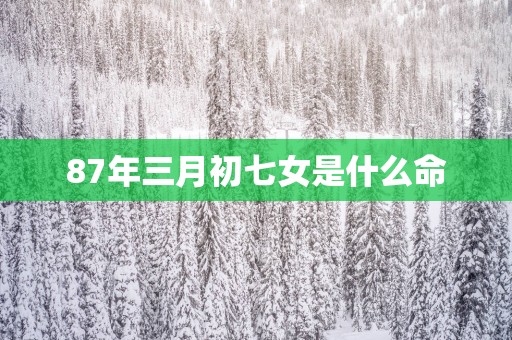 87年三月初七女是什么命