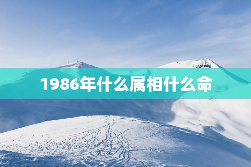 1986年什么属相什么命