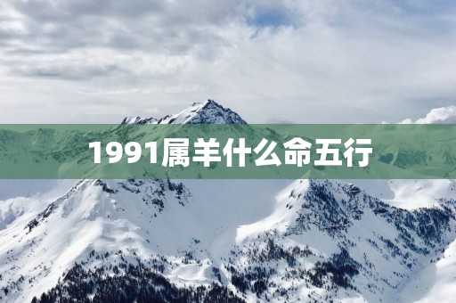 1991属羊什么命五行