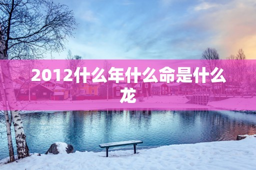 2012什么年什么命是什么龙
