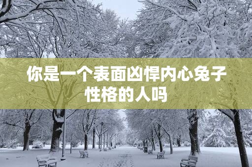 你是一个表面凶悍内心兔子性格的人吗
