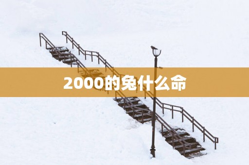 2000的兔什么命