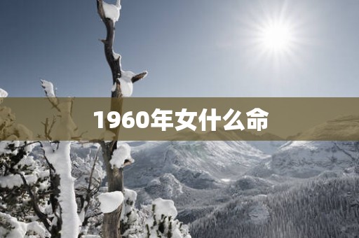 1960年女什么命