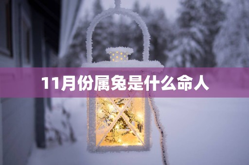 11月份属兔是什么命人