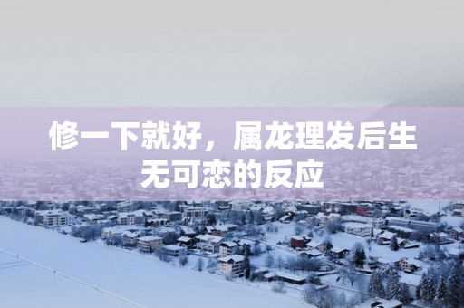 修一下就好，属龙理发后生无可恋的反应