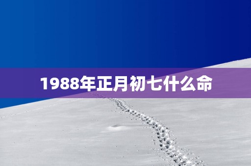 1988年正月初七什么命