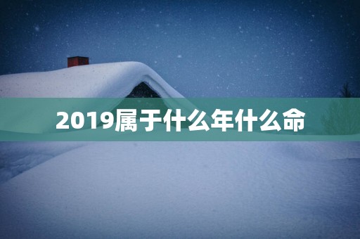 2019属于什么年什么命