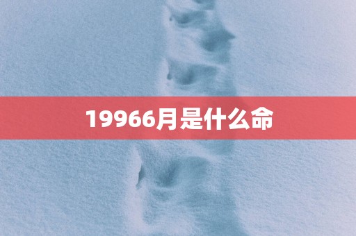 19966月是什么命