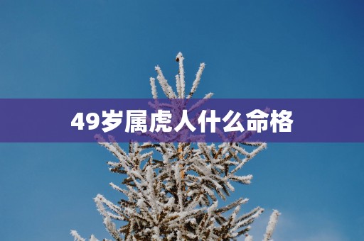 49岁属虎人什么命格