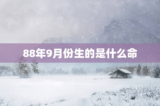 88年9月份生的是什么命