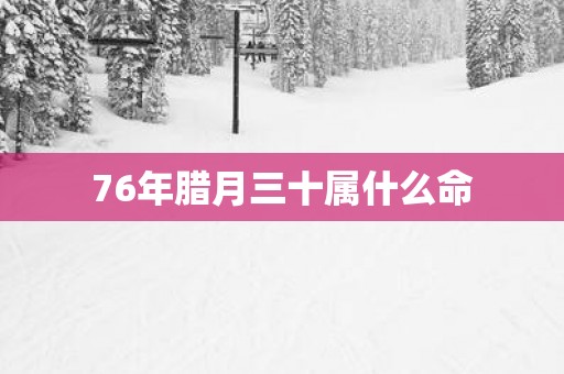 76年腊月三十属什么命