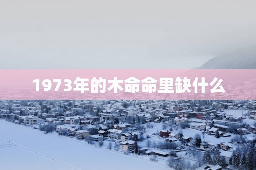 1973年的木命命里缺什么