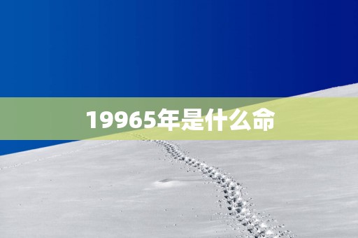 19965年是什么命