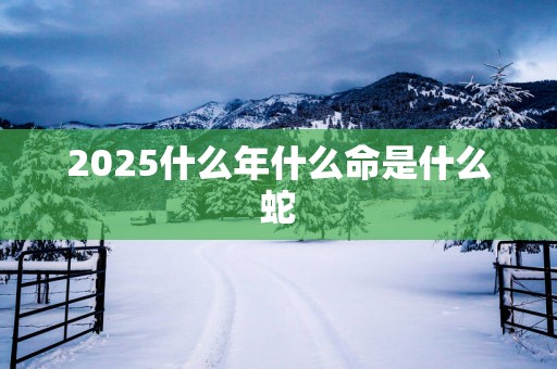 2025什么年什么命是什么蛇