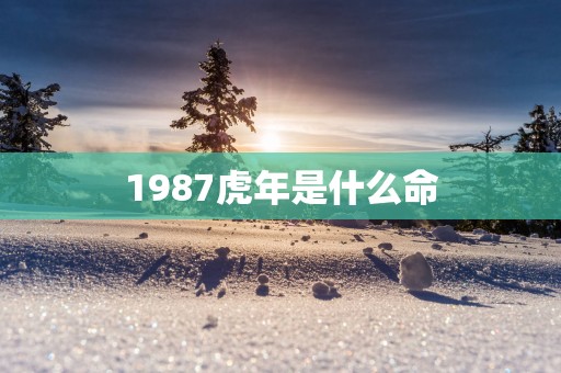 1987蛇年是什么命