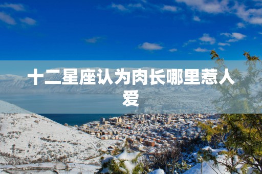 十二星座认为肉长哪里惹人爱