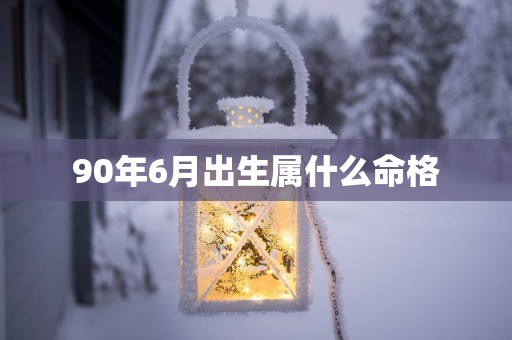90年6月出生属什么命格