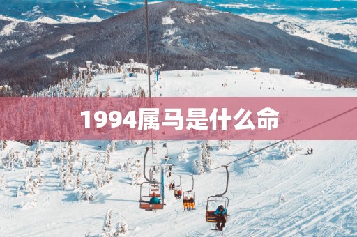 1994属马是什么命