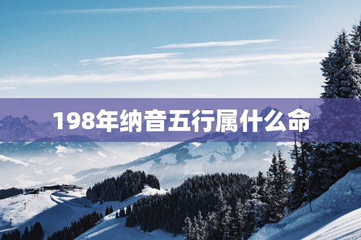 198年纳音五行属什么命